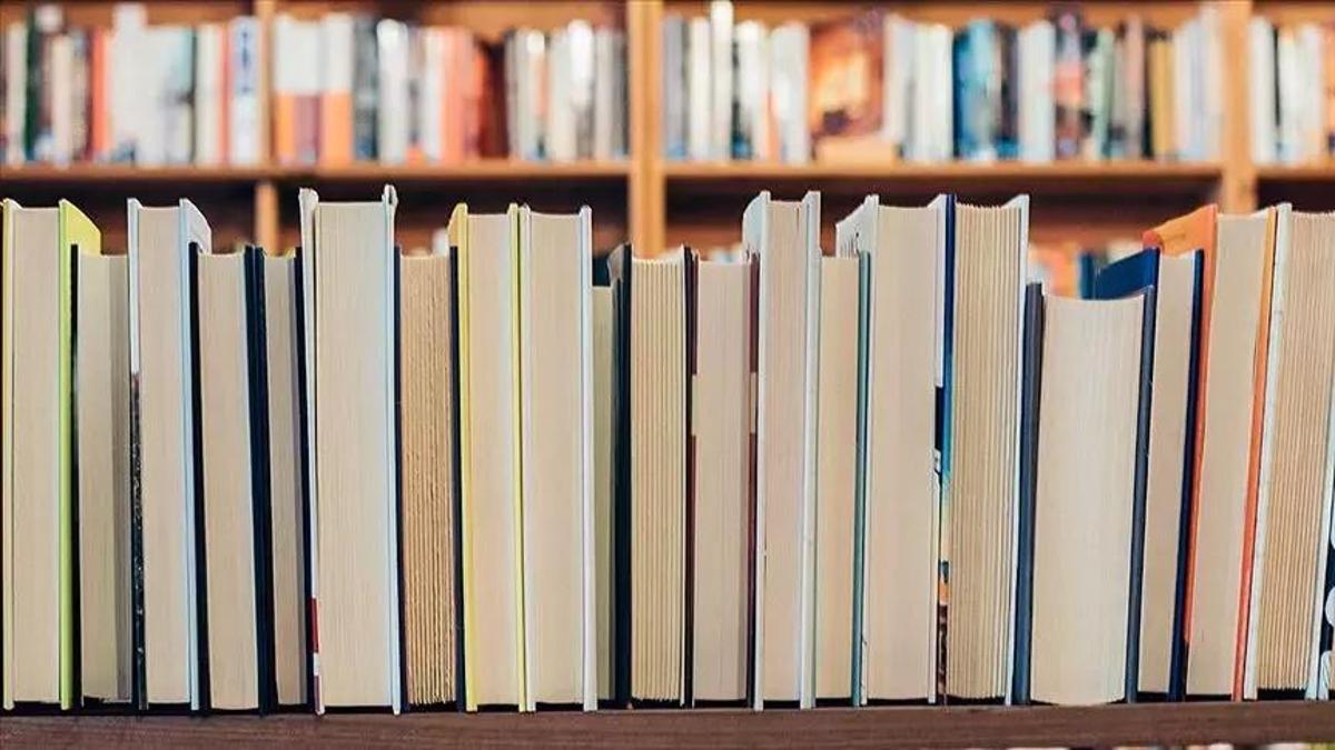 Bağlaç Nedir, Nasıl Bulunur Bağlaç Türleri Ve Özellikleri Nelerdir?