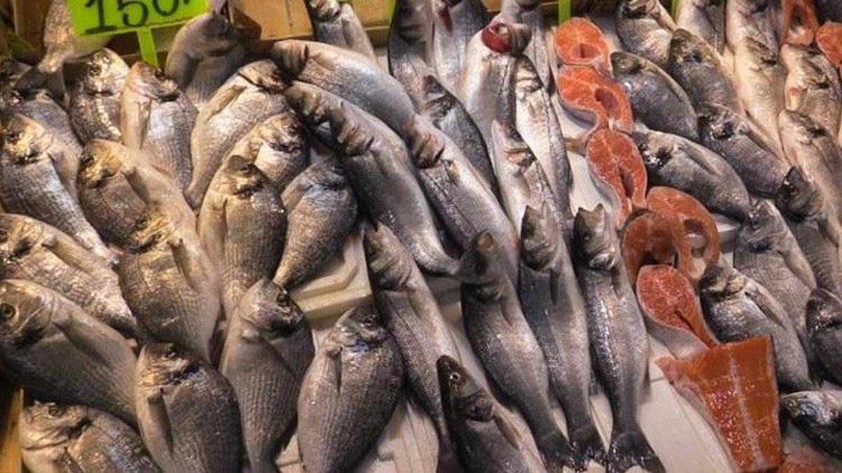 Marmara'daki fırtına balık fiyatlarını etkiledi