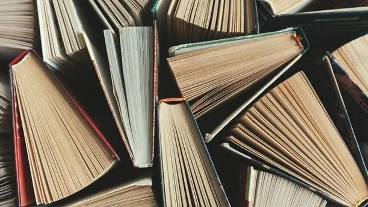 Divan-I İstifa Nedir, Özellikleri Nelerdir? Divan-I İstifa Ne İş Yapar?
