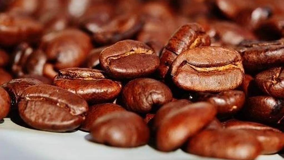 Kafein Nedir, Ne İşe Yarar? Kafeinin Faydaları Ve Zararları Nelerdir?
