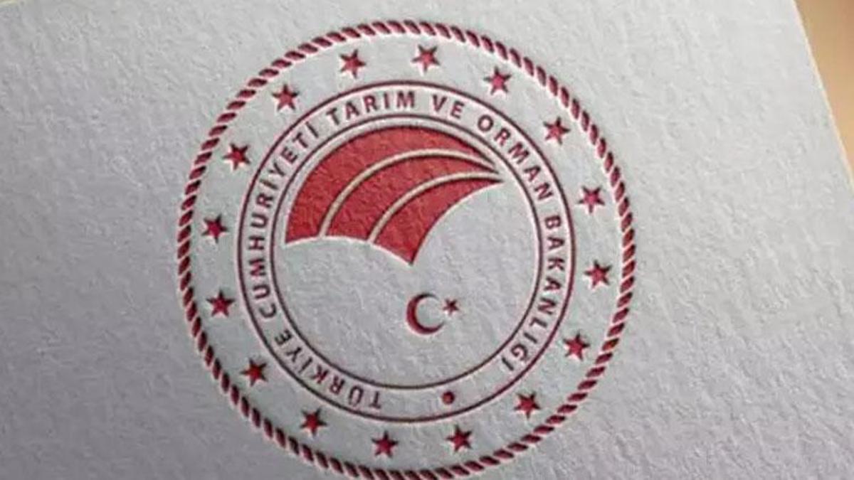 Tarım ve Orman Bakanlığı 7000 personel alımı 2024! KPSS 2023/4 tercih kılavuzu yayımlandı: Tarım ve Orman Bakanlığı personel alımı 2024 başvuru tarihi ve şartları