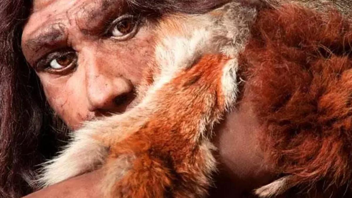 Neanderal Nedir, Kimdir? Neandertallerin Özellikleri Nelerdir?