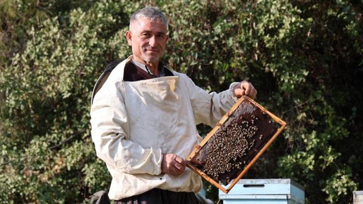 Arılar kış uykusuna yatamadı! Verim düştü