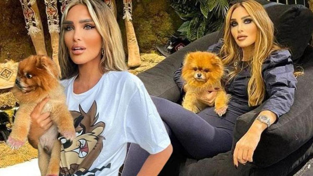 Seren Serengil köpeğini kaybetti! ‘O benim sadece köpeğim değil, her şeyimdi’