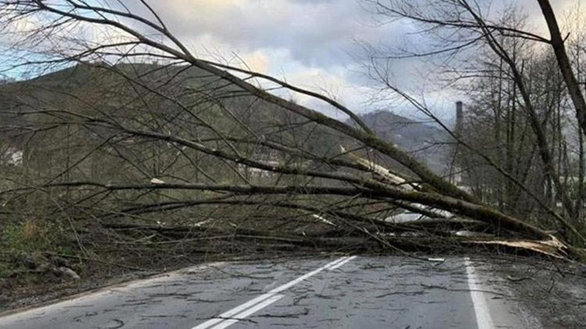 Adana için Meteoroloji'den uyarı yapıldı! Kuzeyli yönlerden kuvvetli rüzgar gelecek