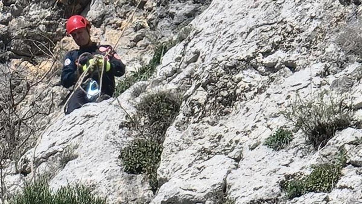 Adana Kozan'da dağda mahsur kalan keçi böyle kurtarıldı