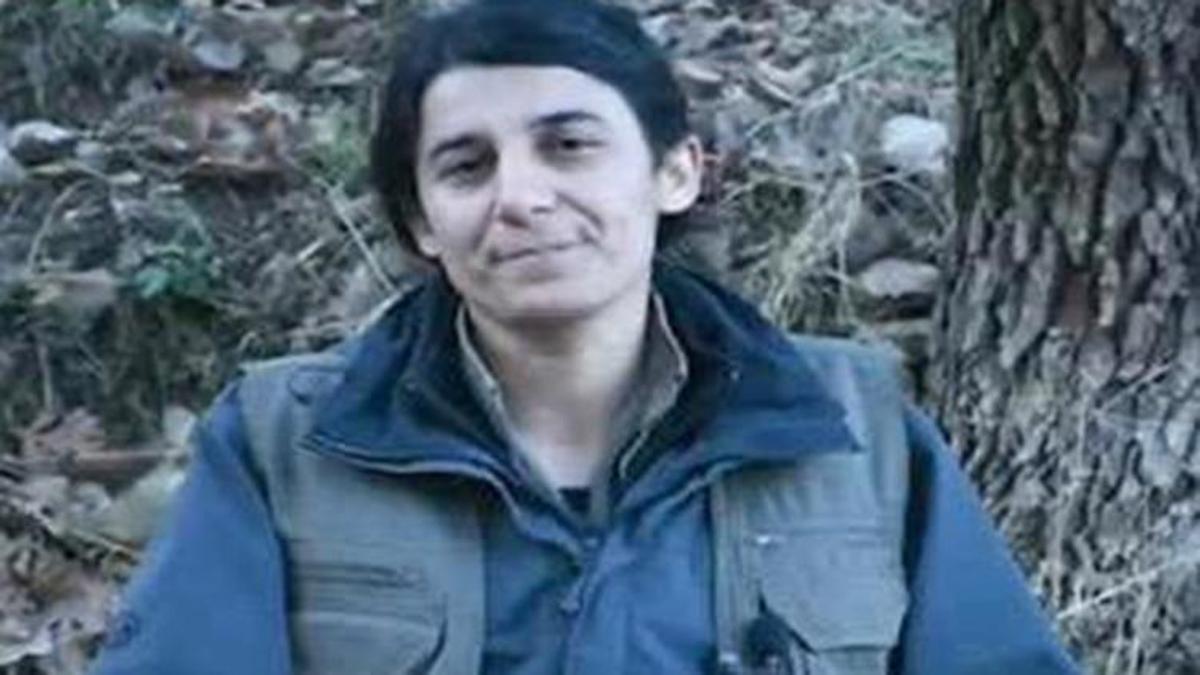 MİT, PKK/KCK'nın sözde sorumlusunu etkisiz hale getirdi