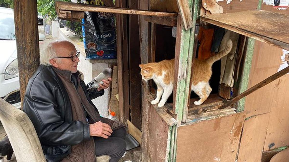 Kulübede sokak hayvanlarına adanan bir ömür!