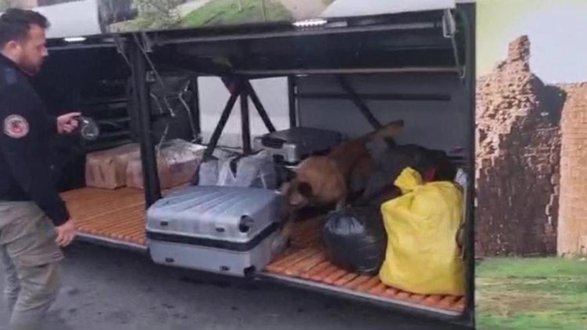 Valizden 21 kilo esrar çıktı! Mahkemeden tutuklama kararı geldi