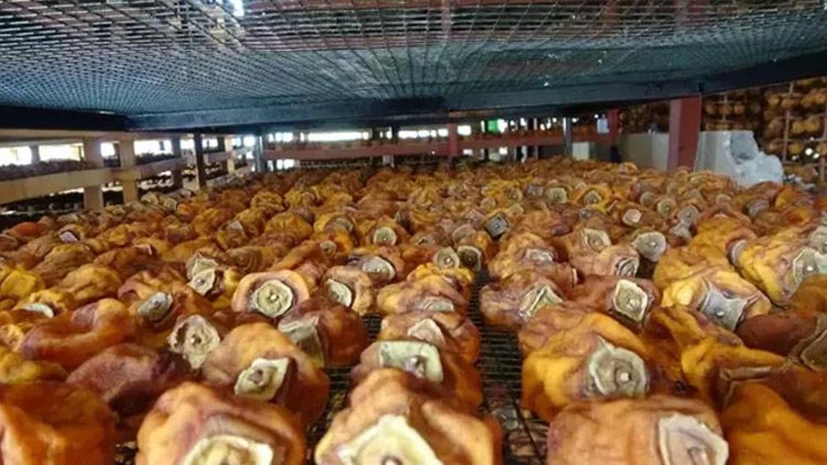 Adana'da 8 yıl önce kuruldu: Hurma kurutma işi kadınlara istihdam sağlıyor