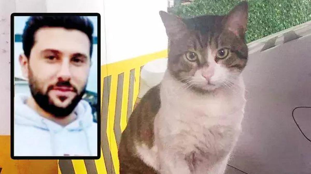 Türkiye bu vahşeti konuşuyor! Kedi Eros'un katili İbrahim Keloğlan'ın cezası belli oldu