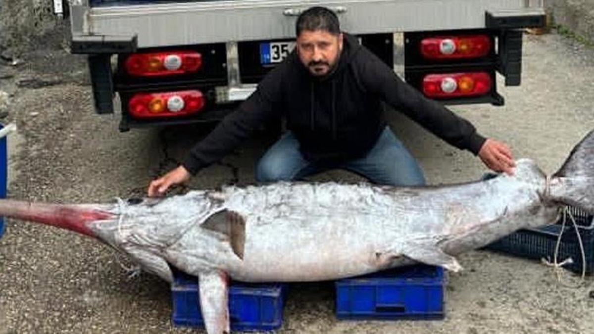 Karataş’ta 150 kiloluk kılıç balığı yakalandı! Satışa çıkarılacak