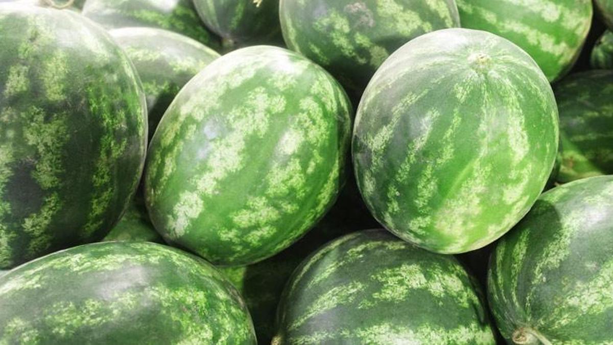 Adana karpuz üretiminde Türkiye’de birincisi oldu! Yüzde 17,6'sını karşılıyor
