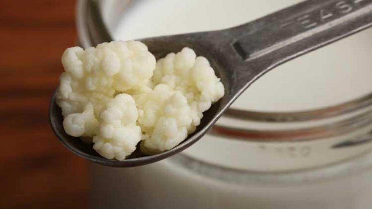 Kefir haram mı? Kefir içmek caiz mi (DİYANET)?