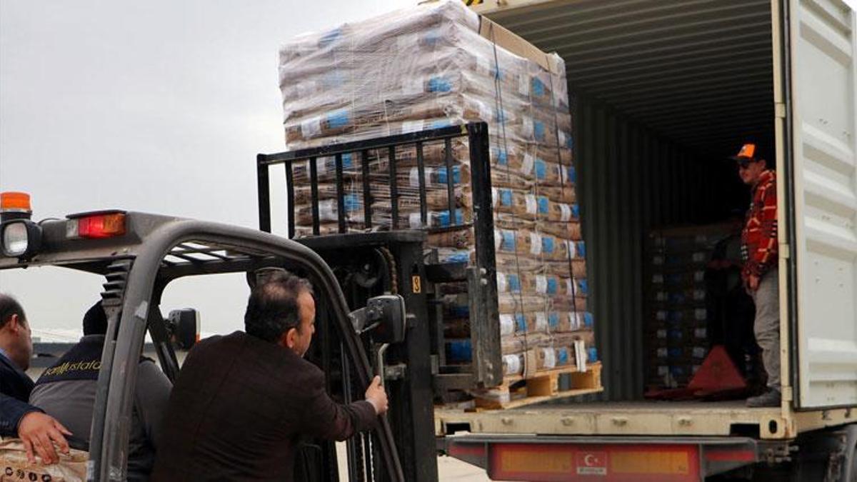 Dünyanın tohum merkezine yerli ve milli hibrit ayçiçeği tohumu ihracatı
