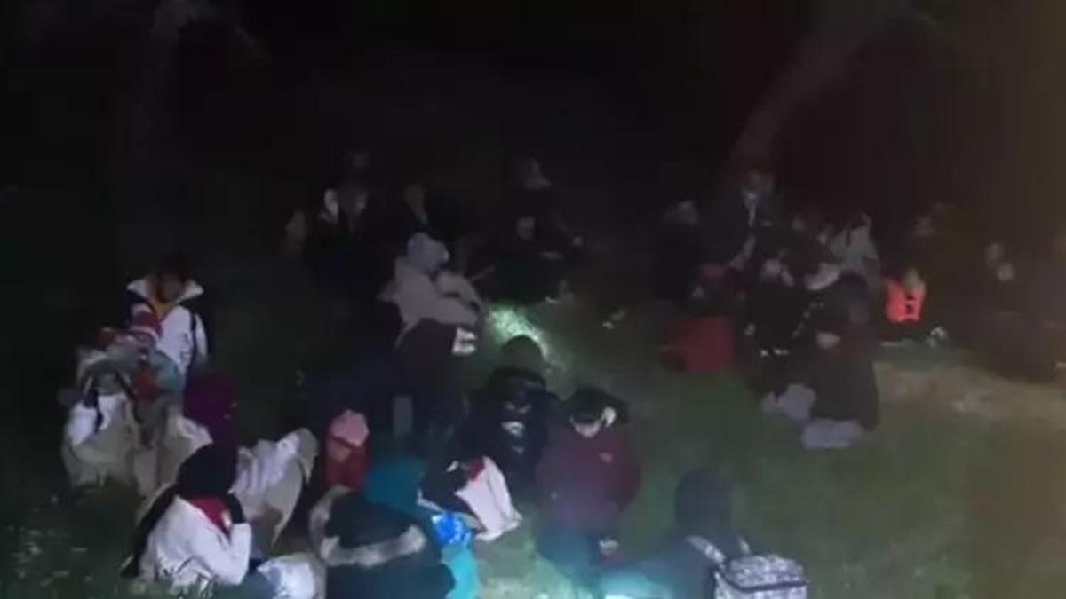 20 göçmen kaçakçılığı organizatörü ve 559 düzensiz göçmen yakalandı