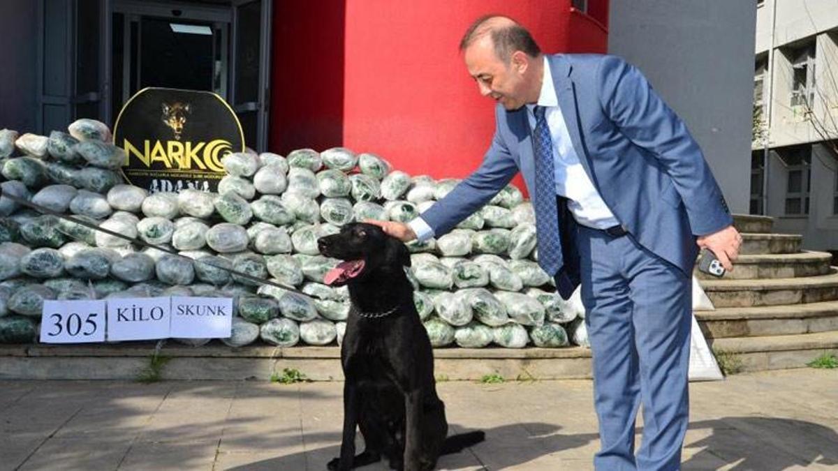Saman balyalarının arasında 305 kilo uyuşturucu çıktı! Tutuklandı