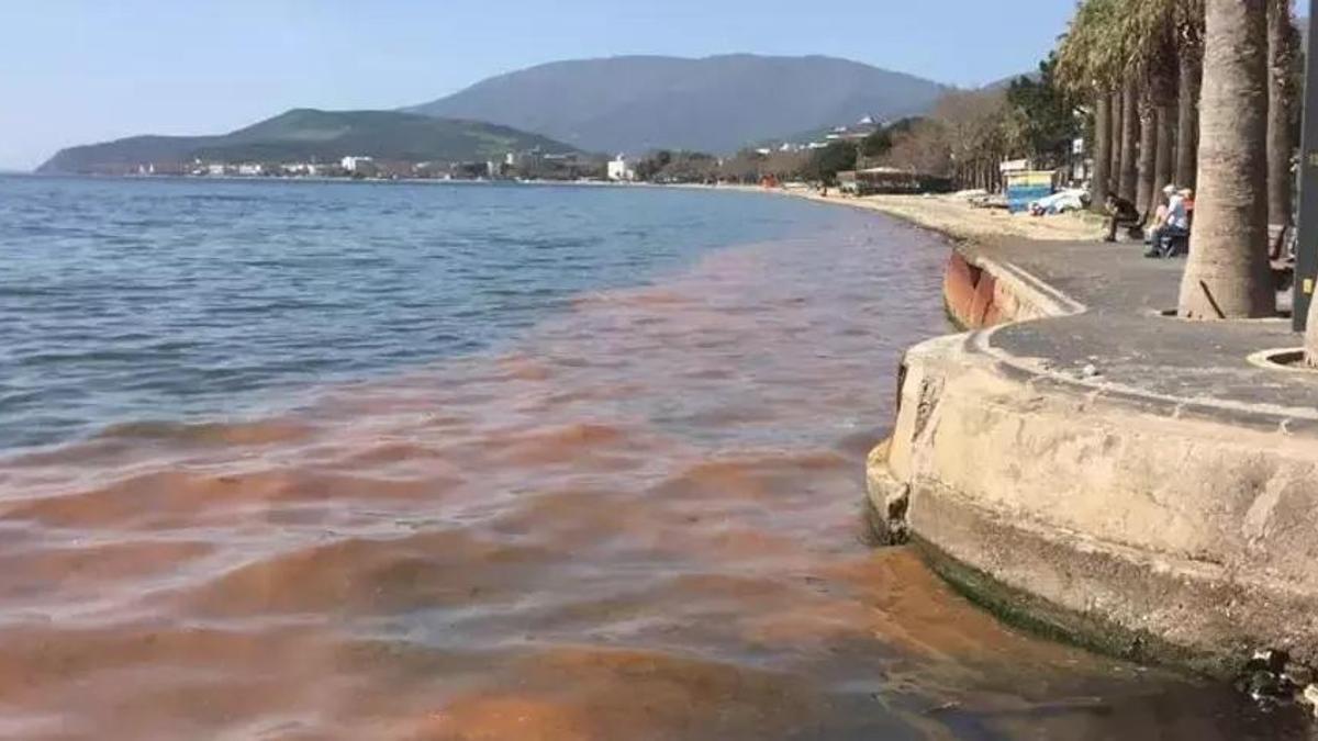 Marmara denizinde artık hiçbir şey eskisi gibi olmayacak! İyileşmesi çok zor