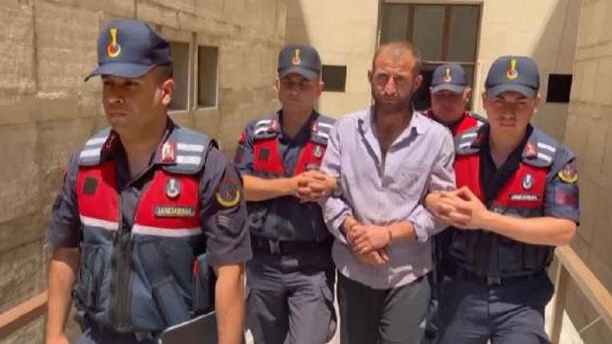 'Orman sevdalısıyım' demişti; orman yakmaktan aldığı ceza belli oldu