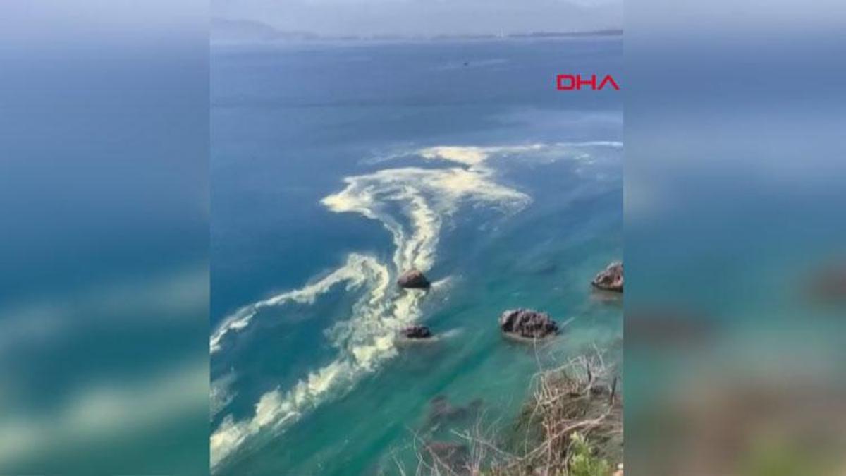 Denizdeki görüntü müsilaj sanıldı, gerçek çok farklı çıktı