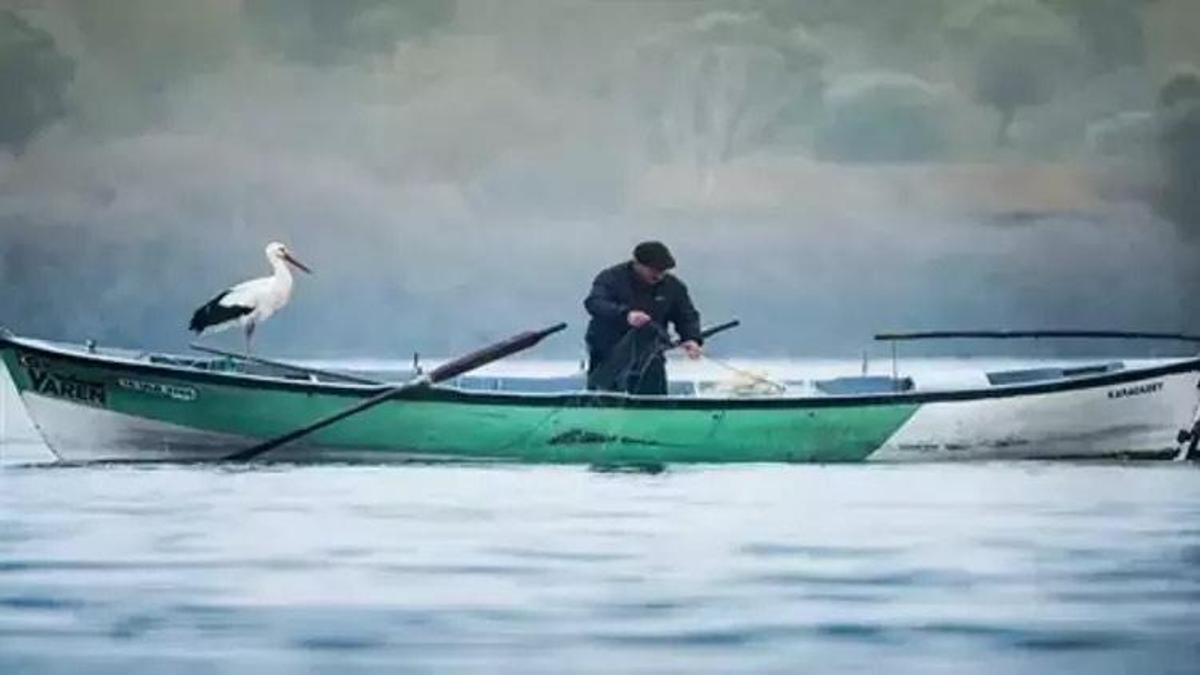 Bayram şekeri diyerek balıklara seslendi! O anlar saniye saniye kaydedildi