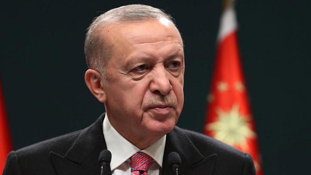 Cumhurbaşkanı Erdoğan, Romanya Cumhurbaşkanı ile görüştü