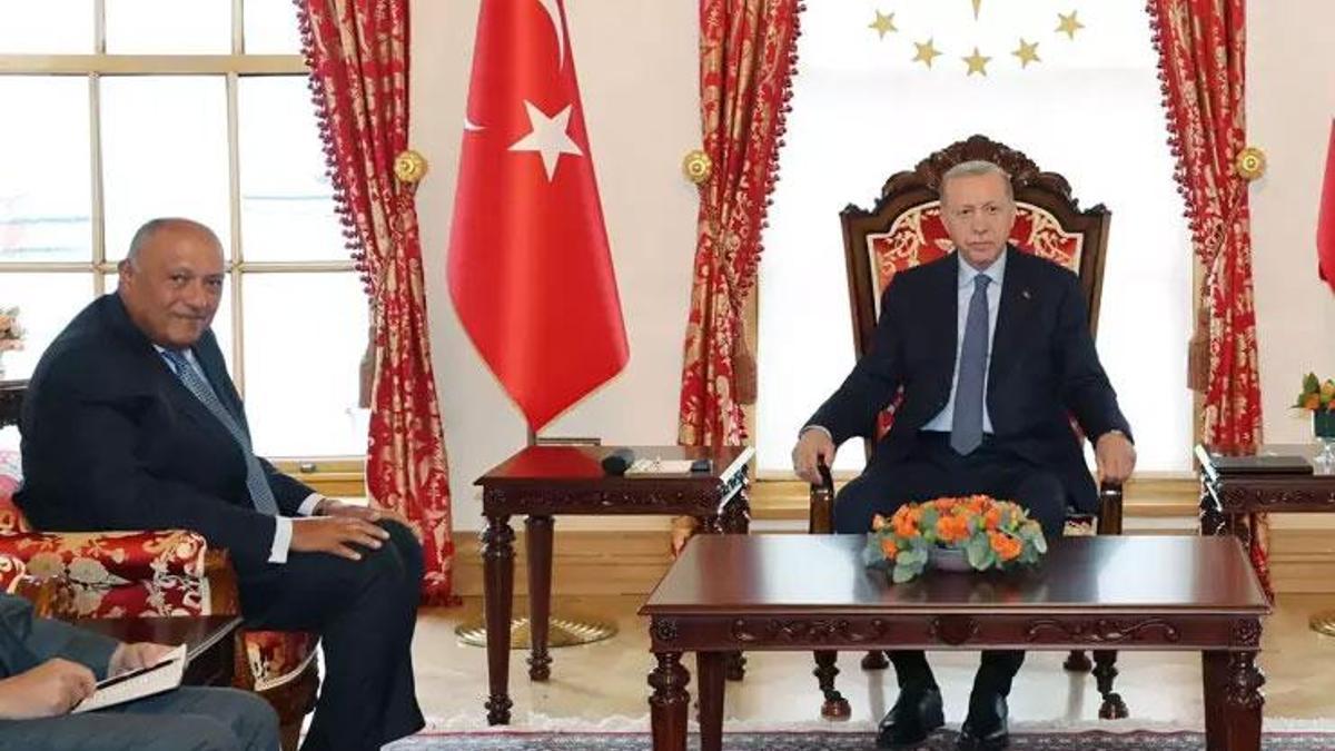 Cumhurbaşkanı Erdoğan Mısır Dışişleri Bakanı Şükri'yi kabul etti