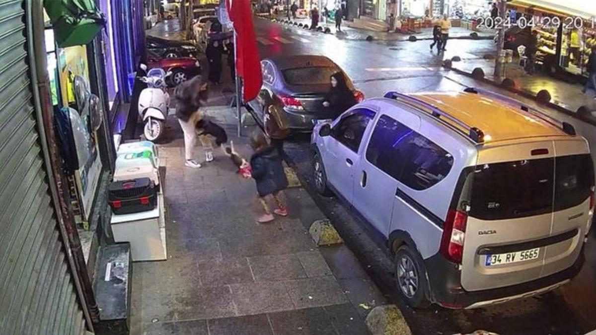 "Yedi Bela Hüsnü" kimseye geçit vermiyor! O anlar saniye saniye kaydedildi
