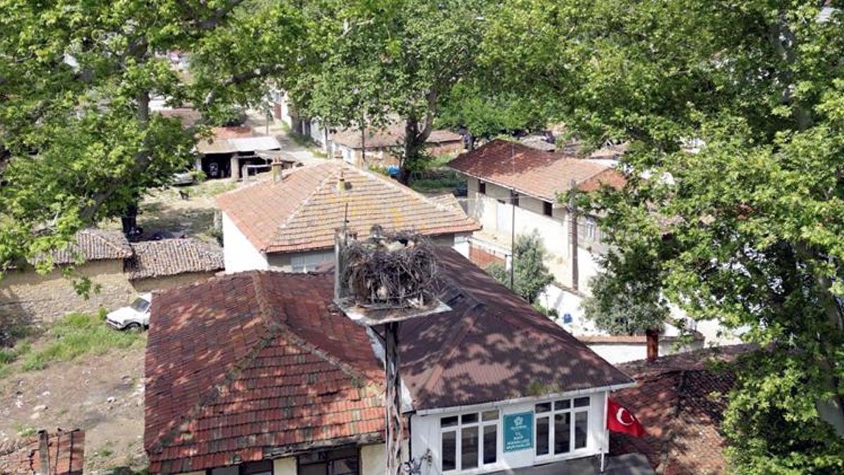 Mahallenin maskotu haline geldi! Kurulan kamera sayesinde saniye saniye izlenecek