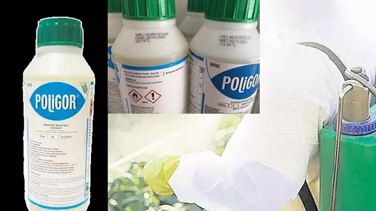 Bakanlık ‘Poligor’ için harekete geçti! İnternetten tespit edildi