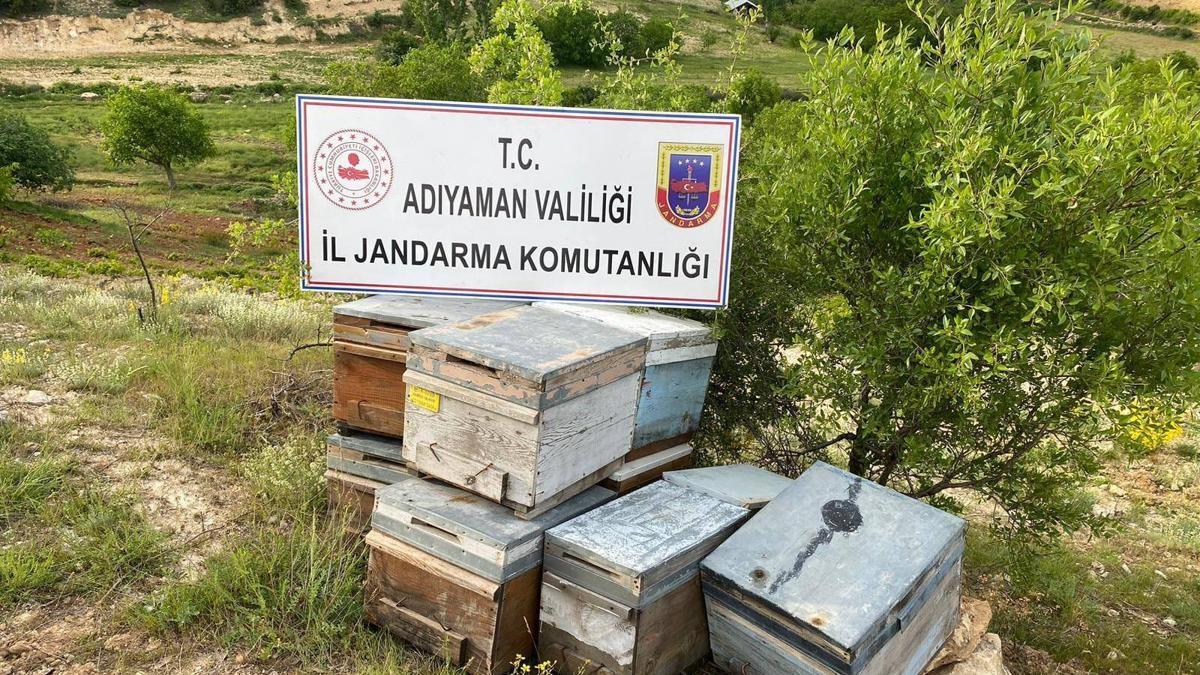 Adıyaman’da arı kovanı hırsızlığına gözaltı
