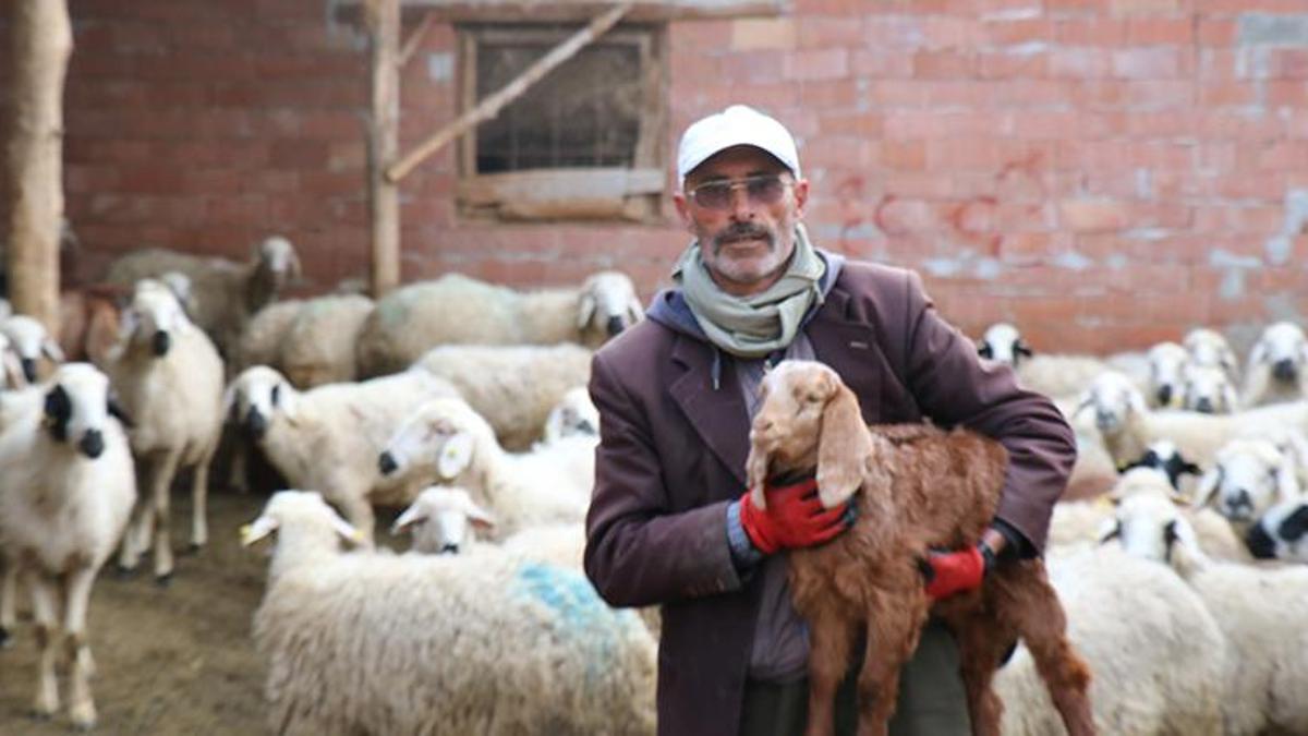 Muhtar olamadı, meşhur oldu! Şimdi baldızı ve bacanağı düşünsün
