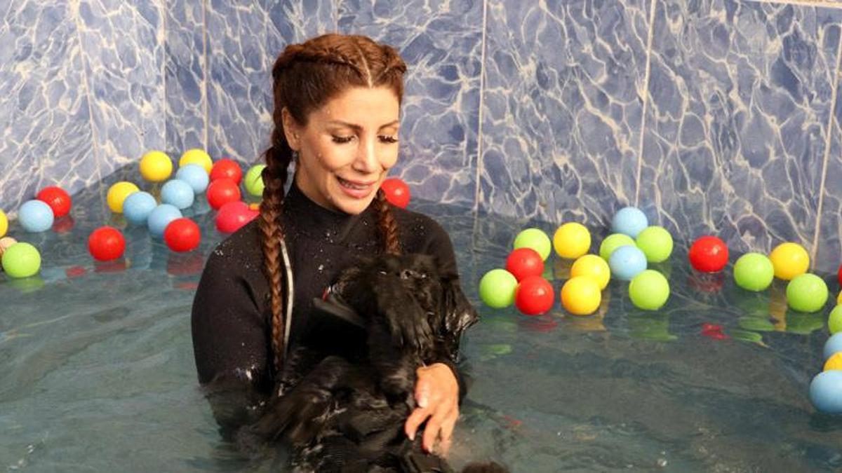 Bahçeye girdi, sopayla şiddet gördü! Hidroterapi tedavisiyle sağlığına kavuştu