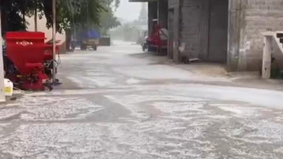 Ceyhan'da dolu, tarım arazilerini vurdu