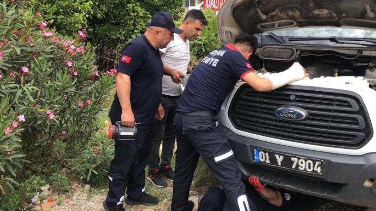 Adana'da aracın motoruna giren kediyi CANKUR ekipleri kurtardı