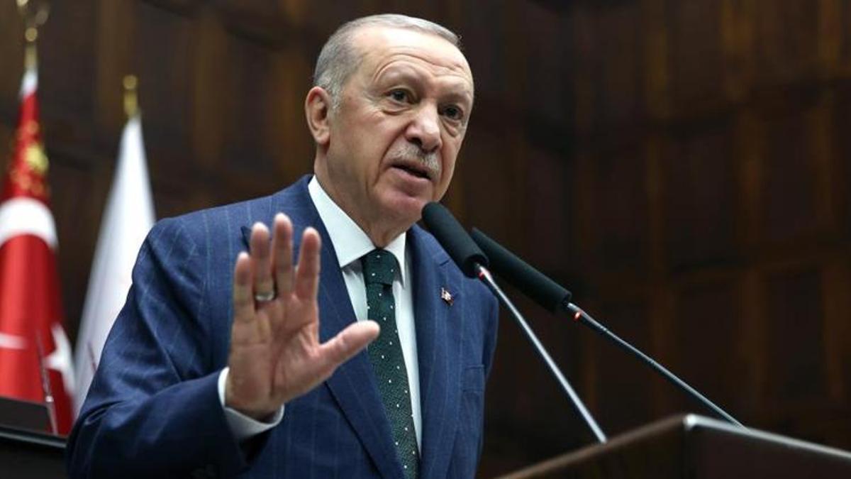 Saldırgan köpek sorunu nasıl çözülecek? Erdoğan: Sahipsiz köpeklerin sahiplenilmesini amaçlıyoruz