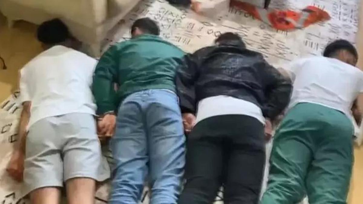 'Daltonlar' suç örgütüne baskın! Operasyonda çok sayıda kişi yakalandı