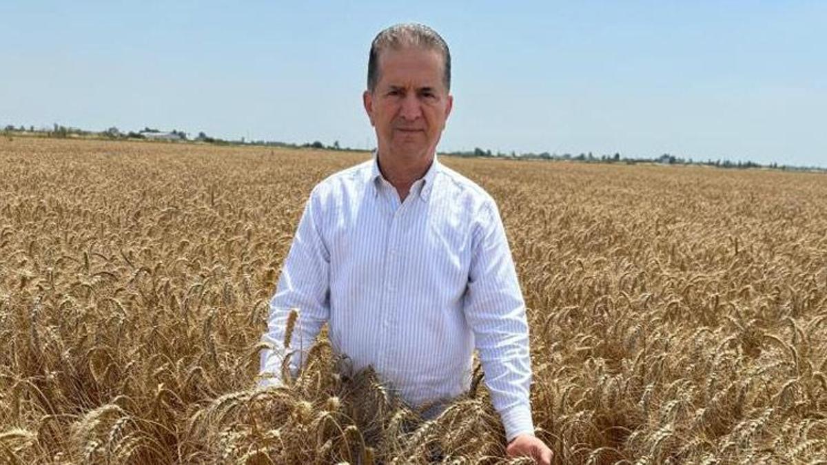 Yüreğir Ziraat Odası Başkanı Doğan: “Çiftçilerimiz, bu yıl da buğday fiyatlarının açıklanmasını bekliyor”