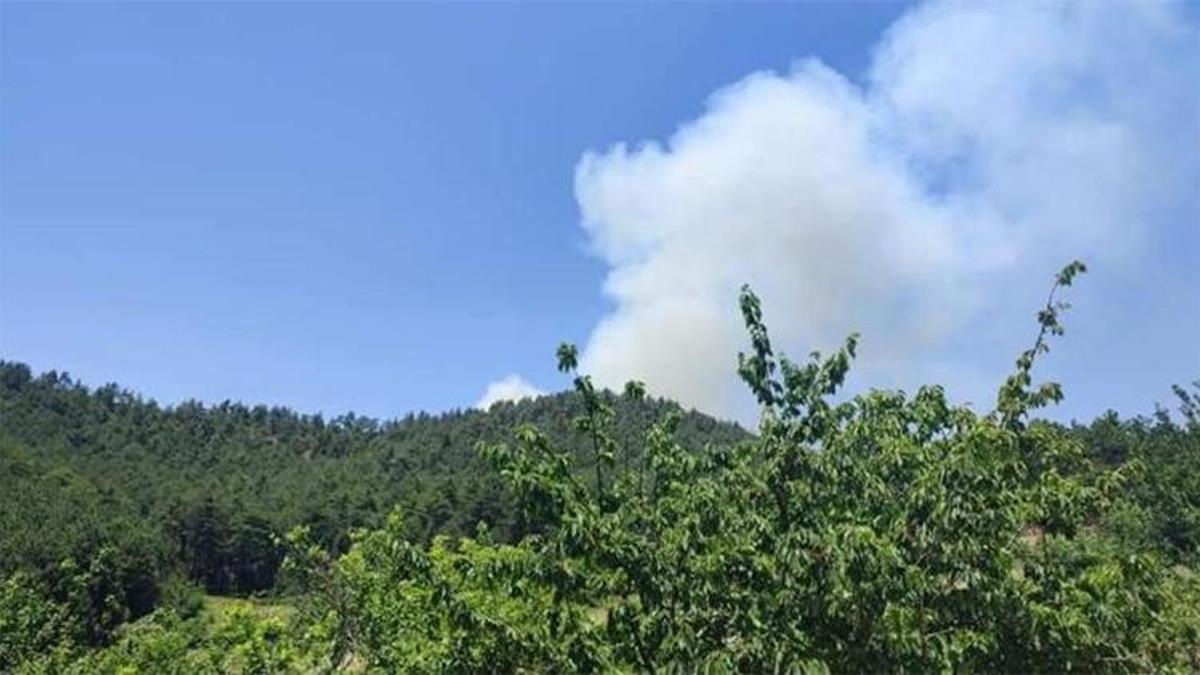 Bursa'da orman yangını! Müdahale sürüyor
