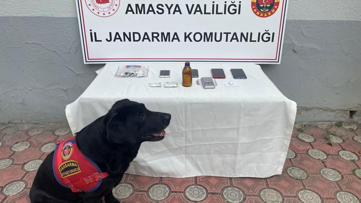 Amasya'da uyuşturucu operasyonu: 1 tutuklama