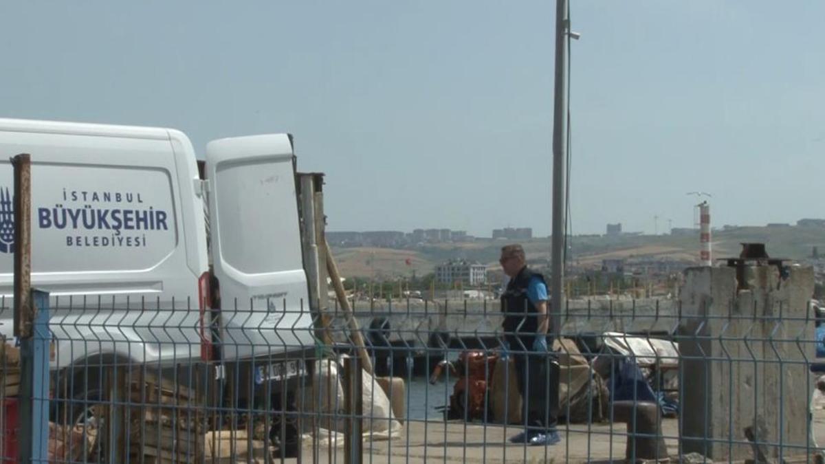 Büyükçekmece'de halıya ve zincire bağlı halde bulunmuştu! Yeni detaylar ortaya çıktı