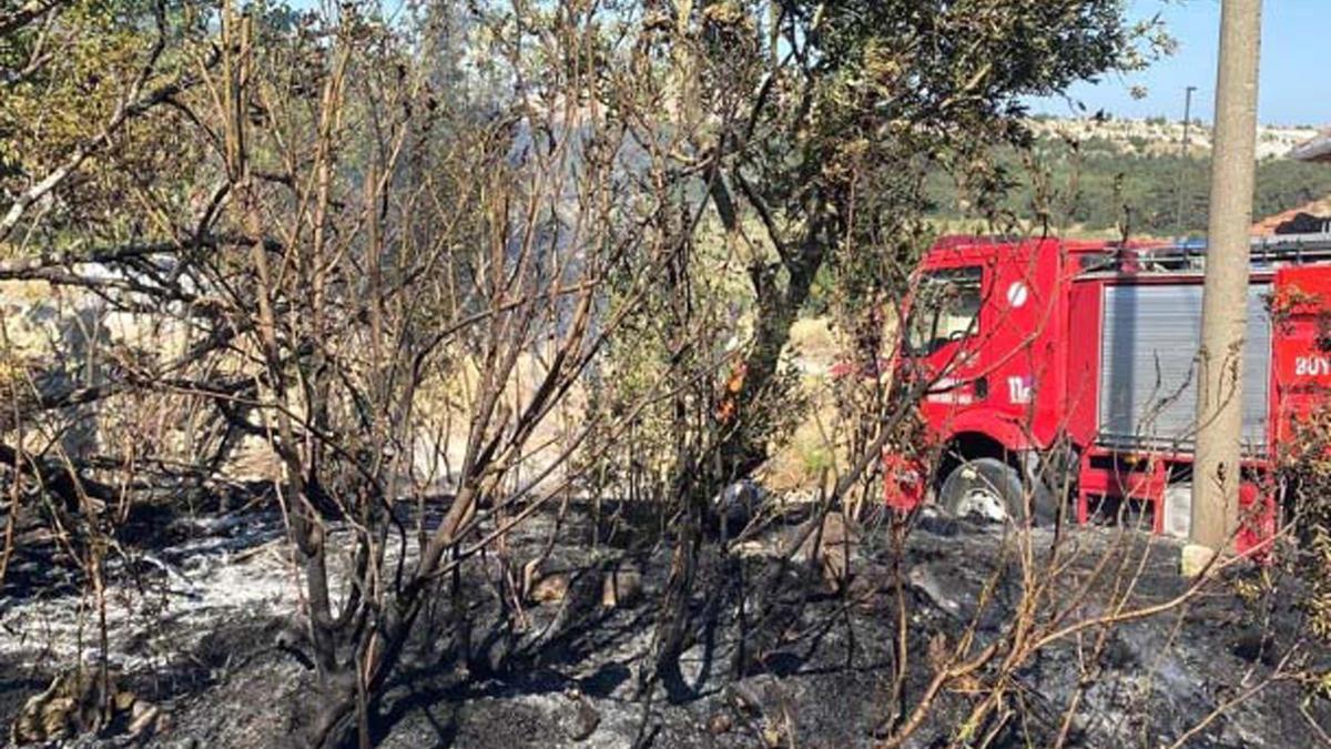 Manisa'da otlukta çıkan yangın, park halindeki otomobile de sıçradı