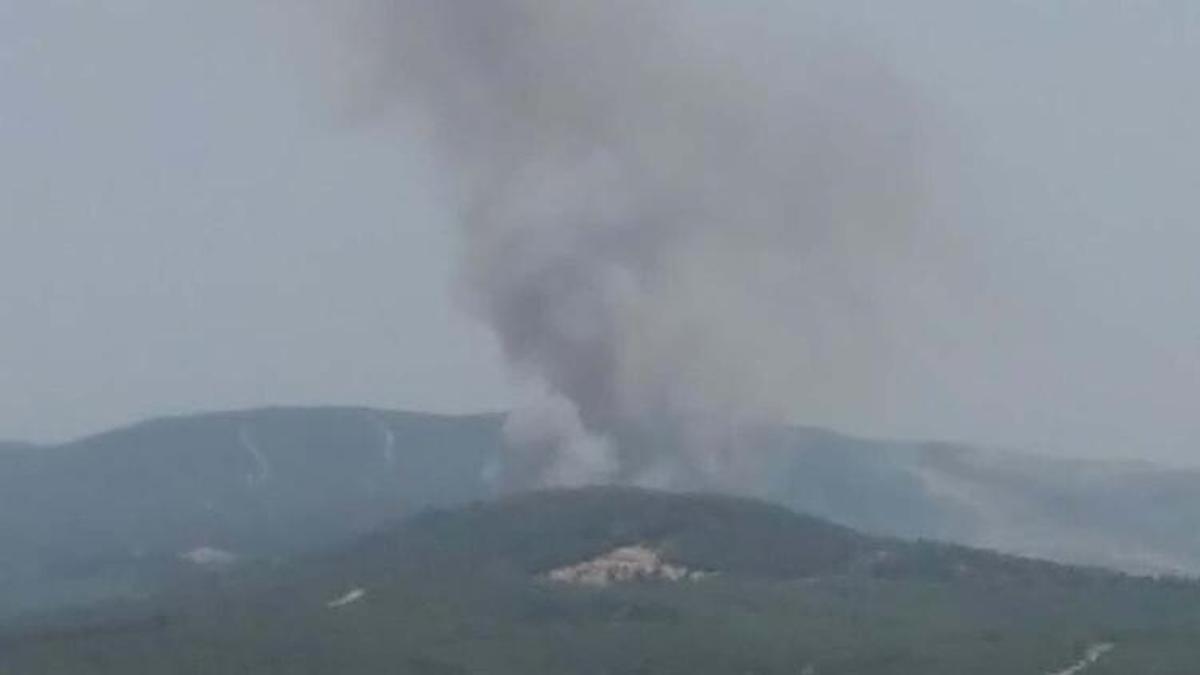 Çanakkale Eceabat'ta orman yangını!