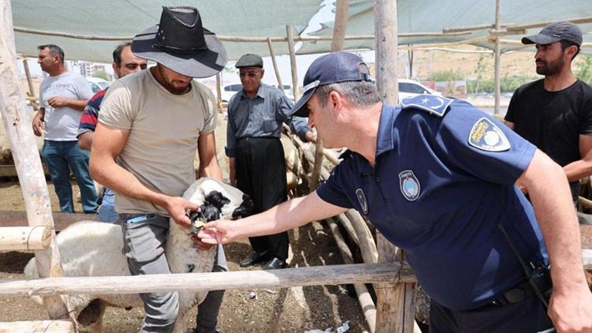 Gaziantep'te Kurban Bayramı'ında 700 personel sahada olacak
