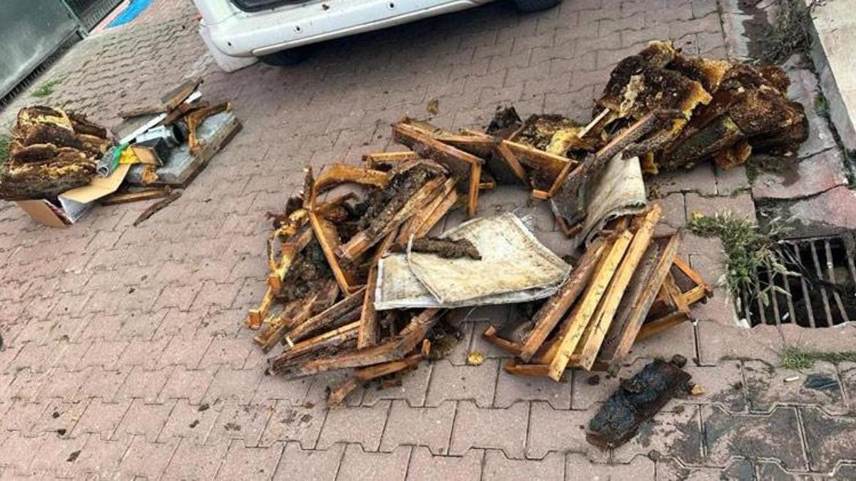 Adana'da torbacılar yakalanınca “Kraliçe arı” taşıdıklarını söyledi
