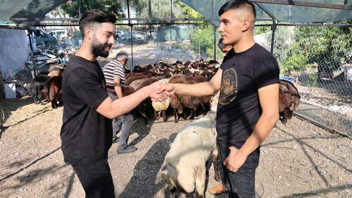 Adana'da kurban fiyatları düşüyor! İşte yen tarife