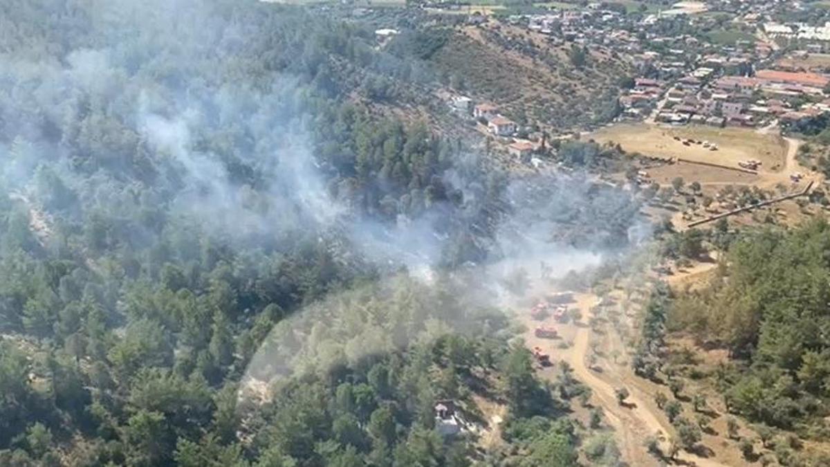 Muğla Milas'ta orman yangını
