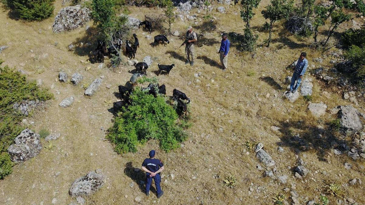 Adıyaman'da kaybolan sürü dronla bulundu