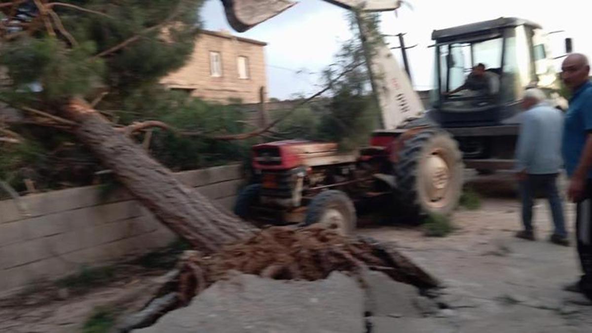 Gaziantep'te fırtına: Fıstık ağaçları zarar gördü!