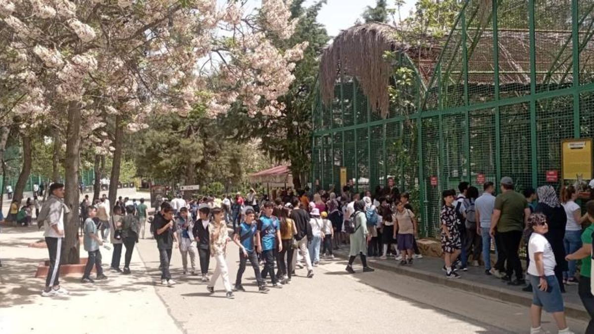 Lüks sitede taşlı sopalı kavga: 3 kişi yaralandı